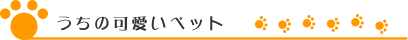�����̉����y�b�g