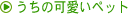 �����̉����y�b�g